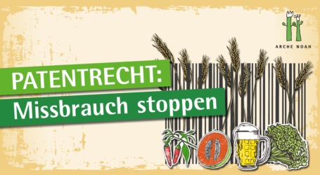 Arche Noah appelliert an BM Totschnig