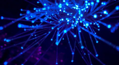 Digitalisierung: Chancen und Risiken