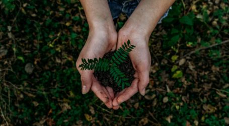 HEN AG: Vorteile der Rekultivierung