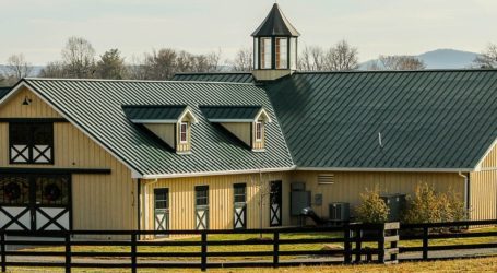 Holzhallen sind nachhaltig und ökologisch