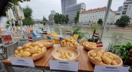 Düstere Szenarien für Erdäpfelbauern & Co
