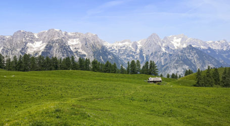 Almwirtschaftstagung in Mallnitz