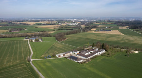 Um 77000 Schweine und Rinder weniger