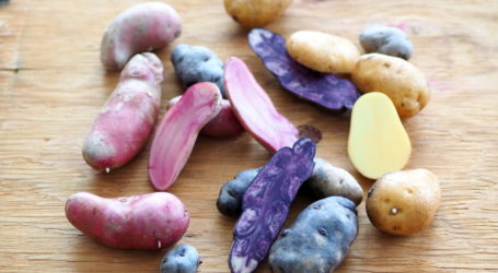 Violet Star bringt Farbe ins Menü