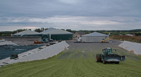Langer-Weninger warnt vor Klimaschutz-Extremismus