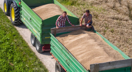 Getreideernte über Durchschnitt