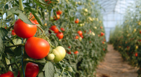 Südspaniens unumkehrbare Wüstenbildung