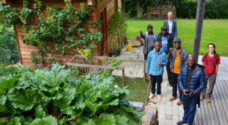 Fünf Nigerianer lernen Landwirtschaft in OÖ