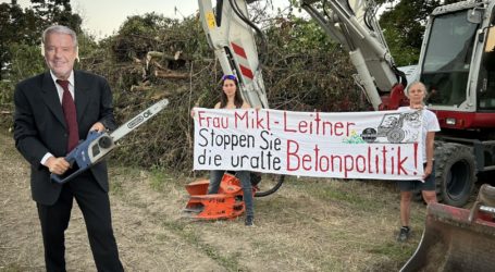 Ostumfahrung Wiener Neustadt: Geheimer Kahlschlag?