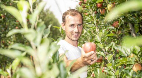 Steirische Apfelbauern unter Druck