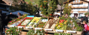 Außergewöhnliches Bauernjahr 2022