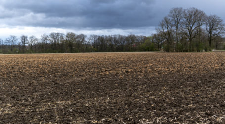 Bayer kontert Vorwürfe der NGOs