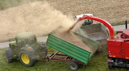 Waitz bedauert unbegrenzten Primärholzeinsatz