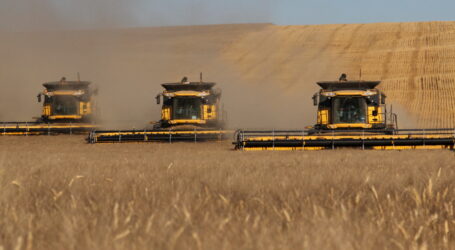 Totschnig/Edtstadler gegen Verlängerung des Getreideimportstopps