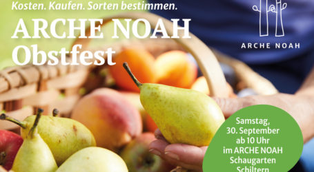 In Schiltern steigt ein Obstfest