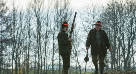 Gründe für Rückgang bei Wolfsrissen in Tirol