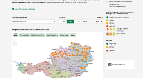 Prognosemodell für Rapserdflöhe abrufbar