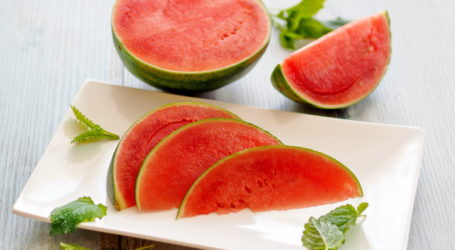 Patent auf buschige Wassermelonen bleibt