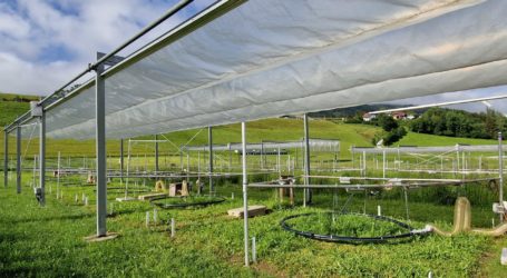 Ergebnisse aus Gumpenstein prominent publiziert