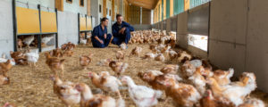 Abstimmungsverhalten bei EU-Tierschutzmaterien
