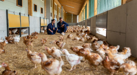 Abstimmungsverhalten bei EU-Tierschutzmaterien