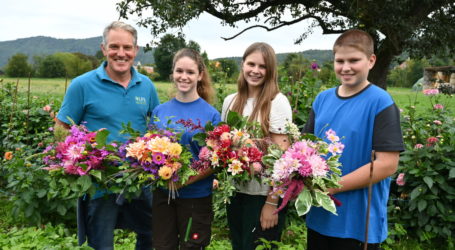 Prachtblumen an LFS Warth