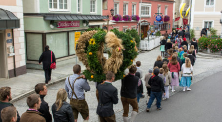 Offener Brief zu Kommentar im Standard