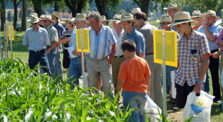 EU-Patentamt als Innovationsblockade