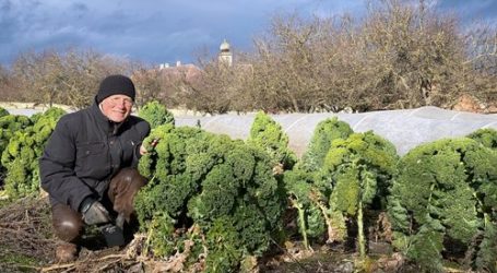 After Work am Bauernhof kooperiert mit WeltTellerFeld