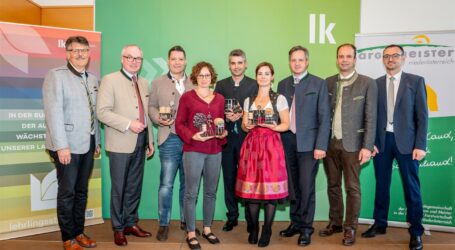 Niederösterreich ehrt Meister des Jahres