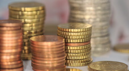 Agrarbudget für 2024 höher dotiert