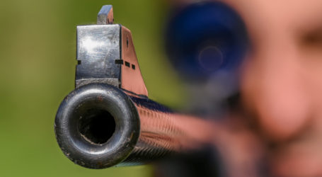 Zahl der Wolfsrudel um 60% gestiegen