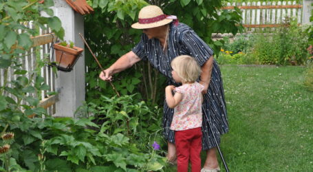 Soziale Anpassungen im Budget 2024