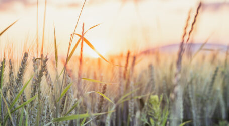 Global 2000 begrüßt SUR-Votum im EU-Umweltausschuss