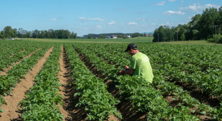Kritik und Lob für EU-Umweltausschuss