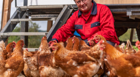 Am Bio-Ei führt kein Weg vorbei