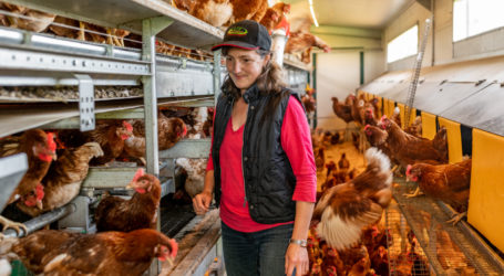 Anmerkungen zum Welteitag