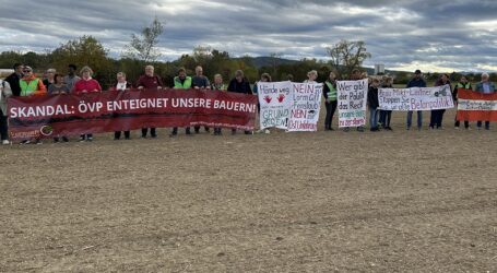 Protest gegen Ostumfahrung Wr. Neustadt