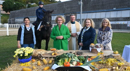 Pferdesegnung in LFS Tullnerbach