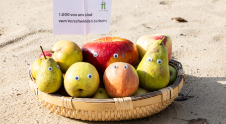 Tausend Obstsorten vor Verschwinden