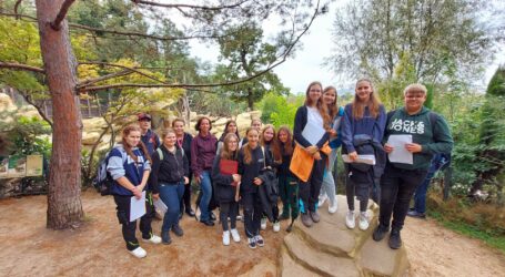 Auf Praxis im Tiergarten
