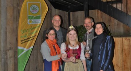 Steirische Bioweinverkostung auf der Hö