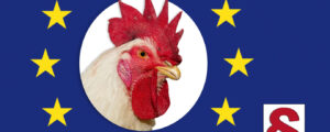 In Ovo erhält EU – Darlehen