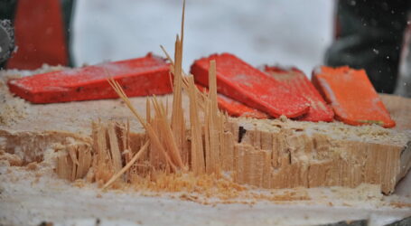 Zuspruch zur FORST live steigend