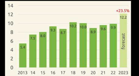 Sojaernte 2023 lässt Hoffnungen sprießen