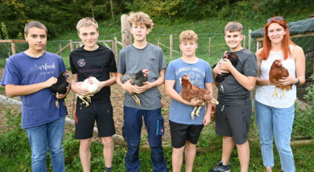 Artenvielfalt im Warther Hühnerstall