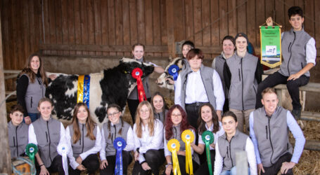 LFS Hollabrunn reüssiert bei Züchterchampionat