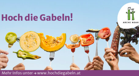 „Hoch die Gabeln“ für die Vielfalt!