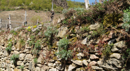 Trockensteinmaurer laden zu Steingesprächen