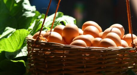 5 Gründe für den Einkauf im heimischen Hofladen!